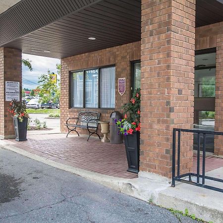 Comfort Inn Алма Екстер'єр фото