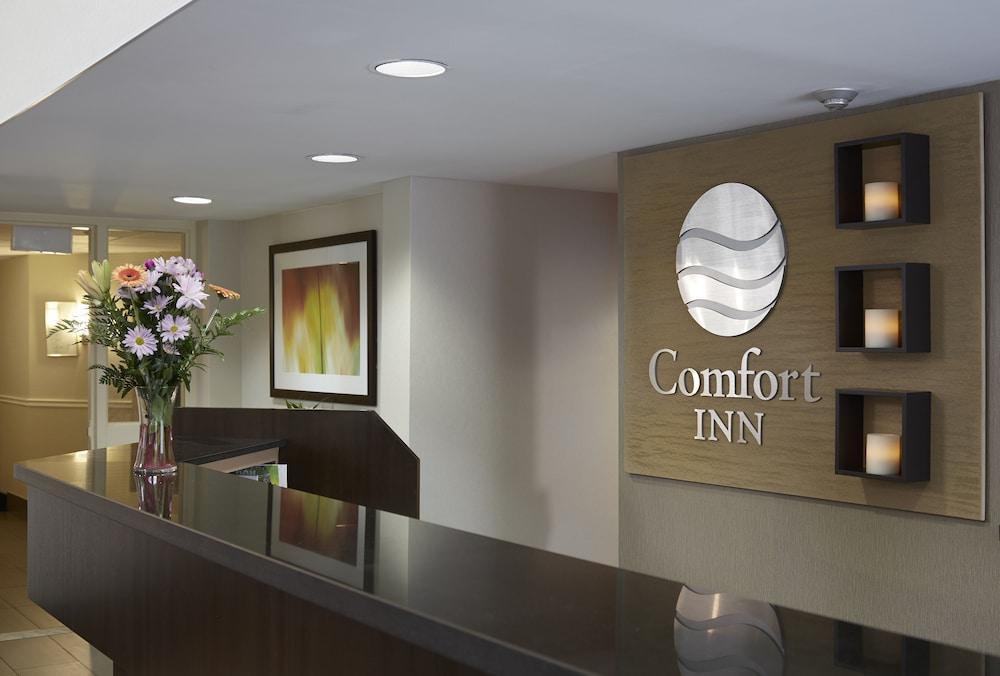 Comfort Inn Алма Екстер'єр фото